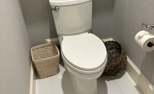 toilet